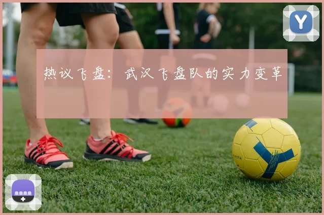 热议飞盘：武汉飞盘队的实力变革