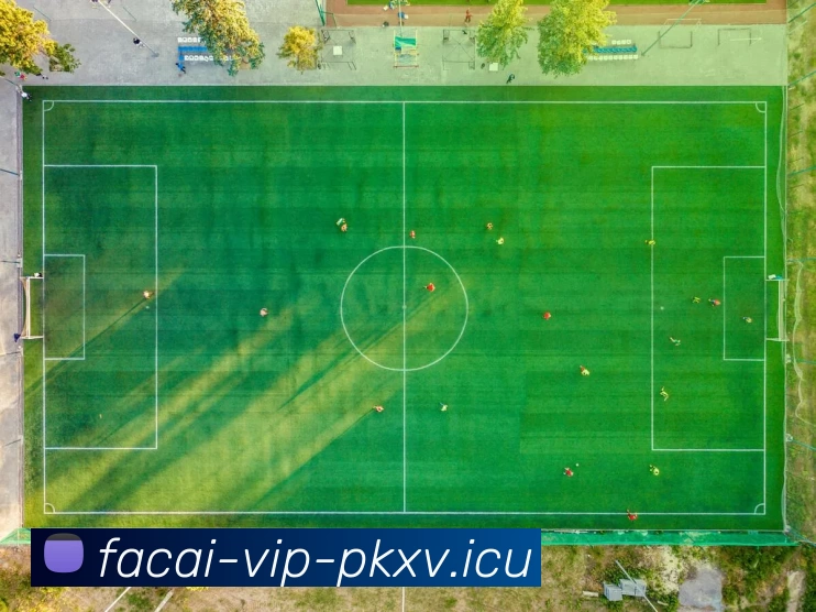 MK体育服务体系